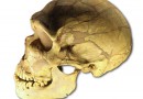 Śmiertelna choroba - czyli o tym, jak zabiliśmy neandertalczyków