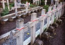 Niszczejące polskie kwatery na Cmentarzu Janowskim