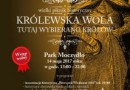 Wielki Piknik Historyczny - Królewska Wola 2017