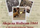 Akcja na Wolbrom 1944 - inscenizacja historyczna 2017