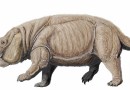 Lisowicia bojani. Kości największego ssakokształtnego gada odkryte na Śląsku