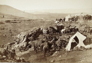 Biwak wojsk rosyjskich, 1877 r