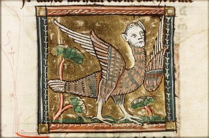 Przedstawienie harpii z około 1350 roku